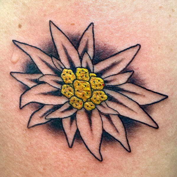 Edelweiss for Branka