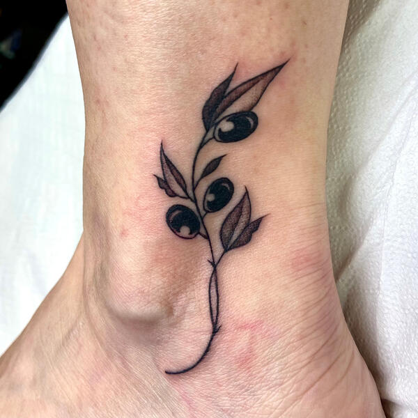 Olive Branch for Barbara